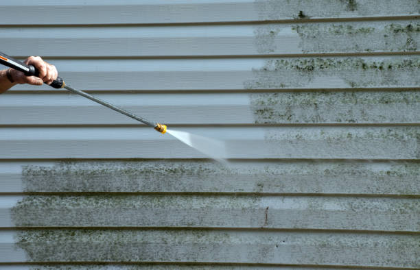 Best Gutter Cleaning in Palm City, FL